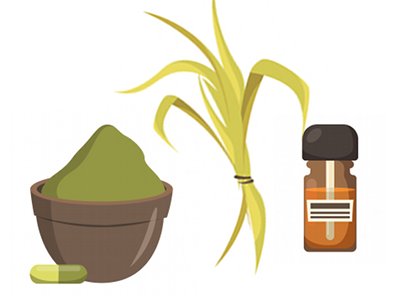 Ayurveda